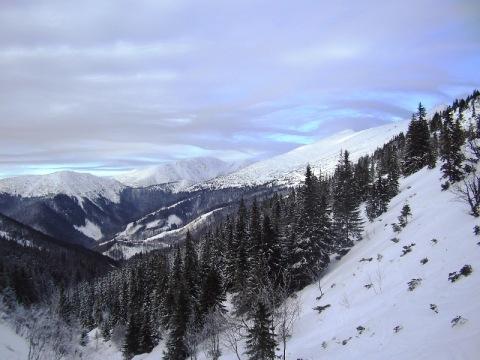 Pálenica, Skalka, Derese, és a fák között a Chopok