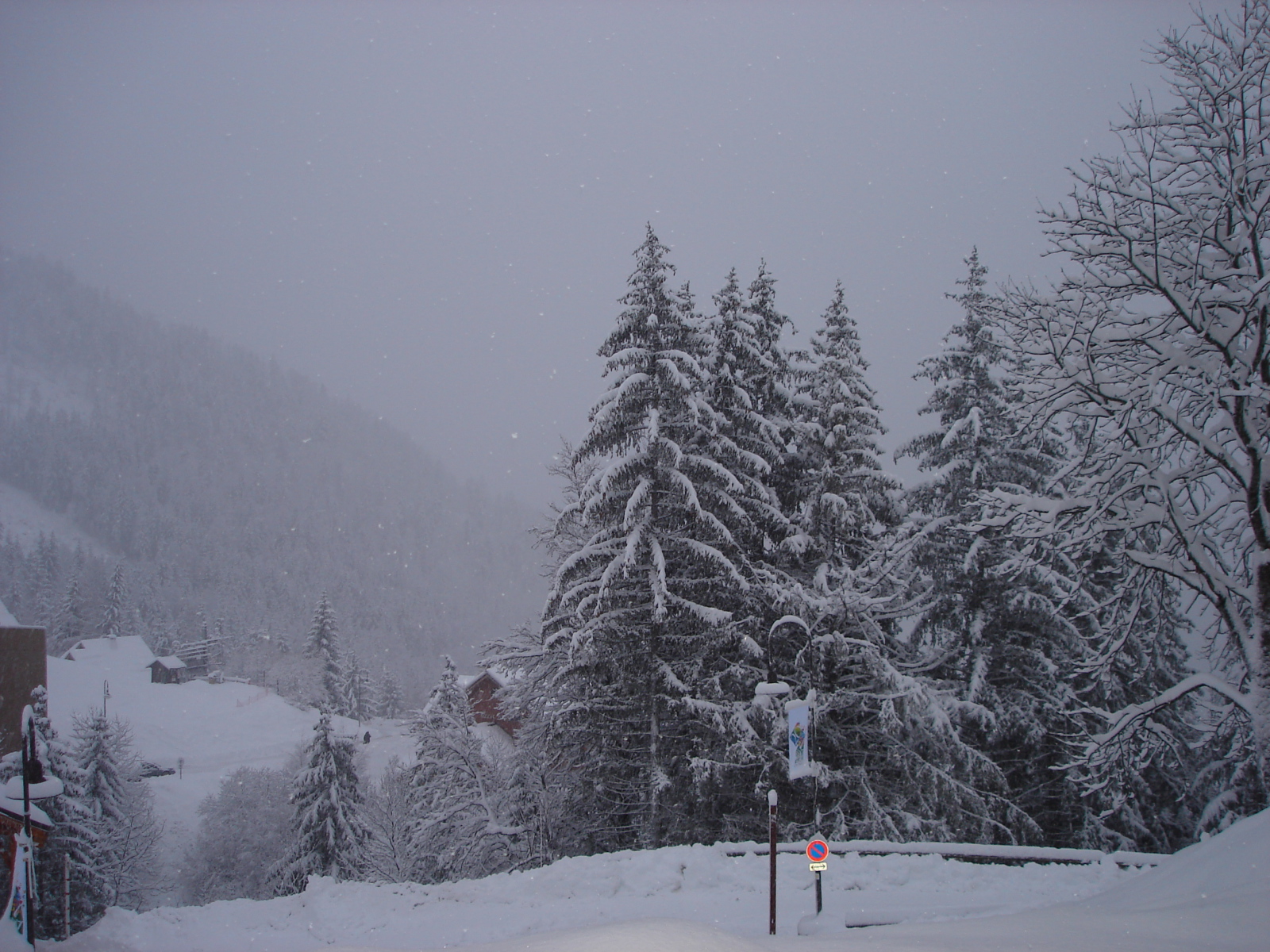 DSC02607.JPG