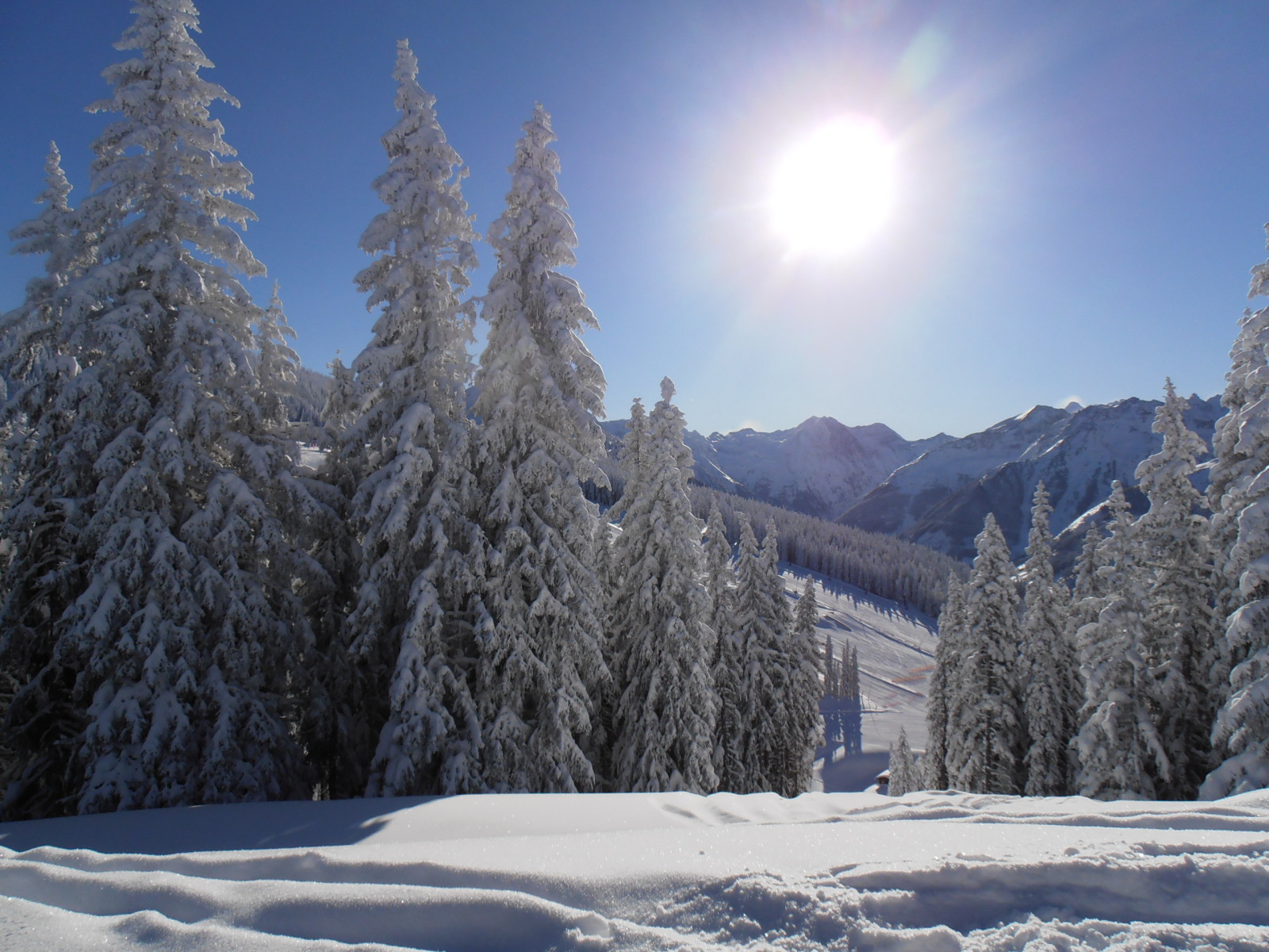 napsütés, hó, szabadság