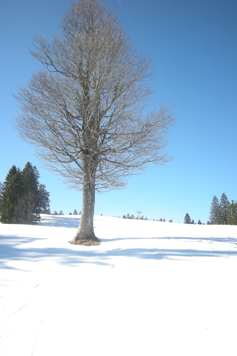 2011.Marcius.6-Feldberg-sieles-029.jpg