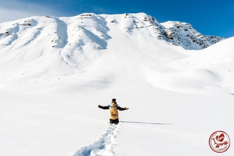 Vars