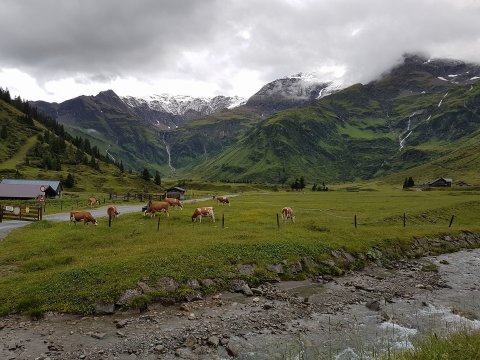 Egy kis hó a Sportgasteinon is (Kép: Reinhard Prexl / Facebook)