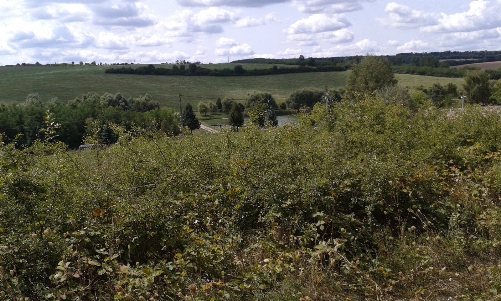 20170822-123926.jpg