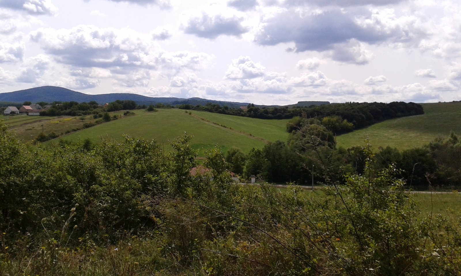 20170822-123933.jpg