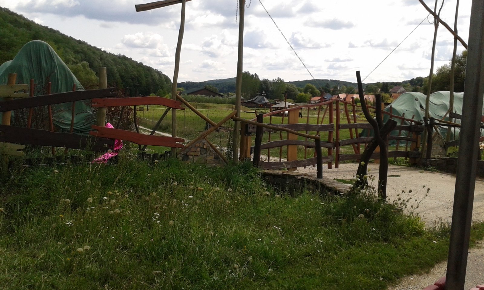 20170822-124128.jpg