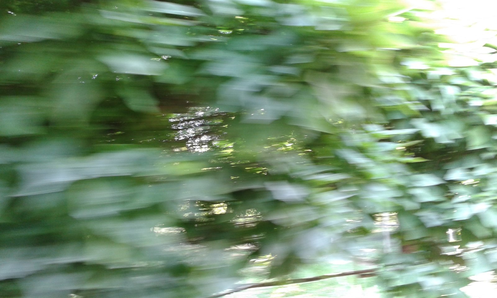 20170822-124540.jpg