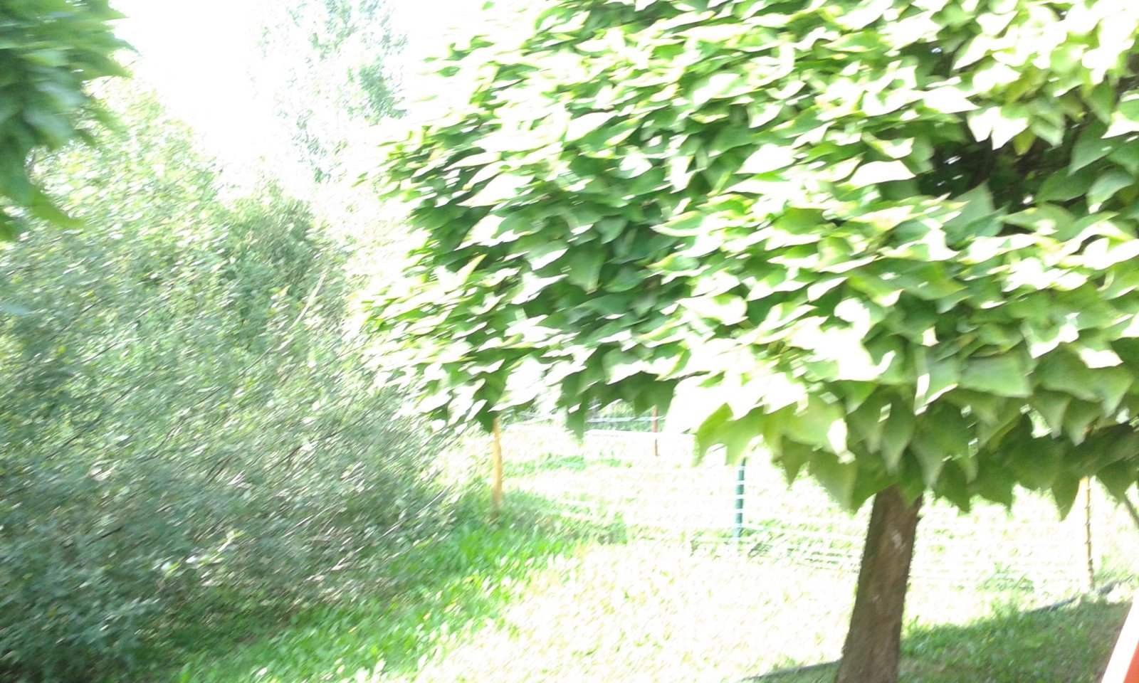 20170822-124545.jpg