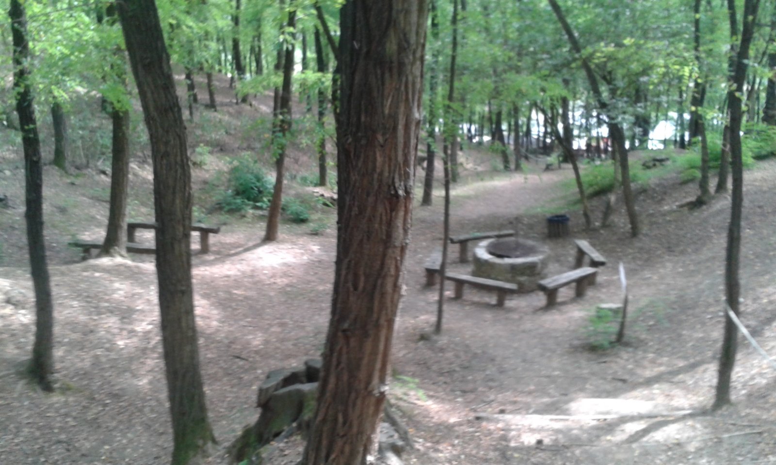 20170822-150150.jpg