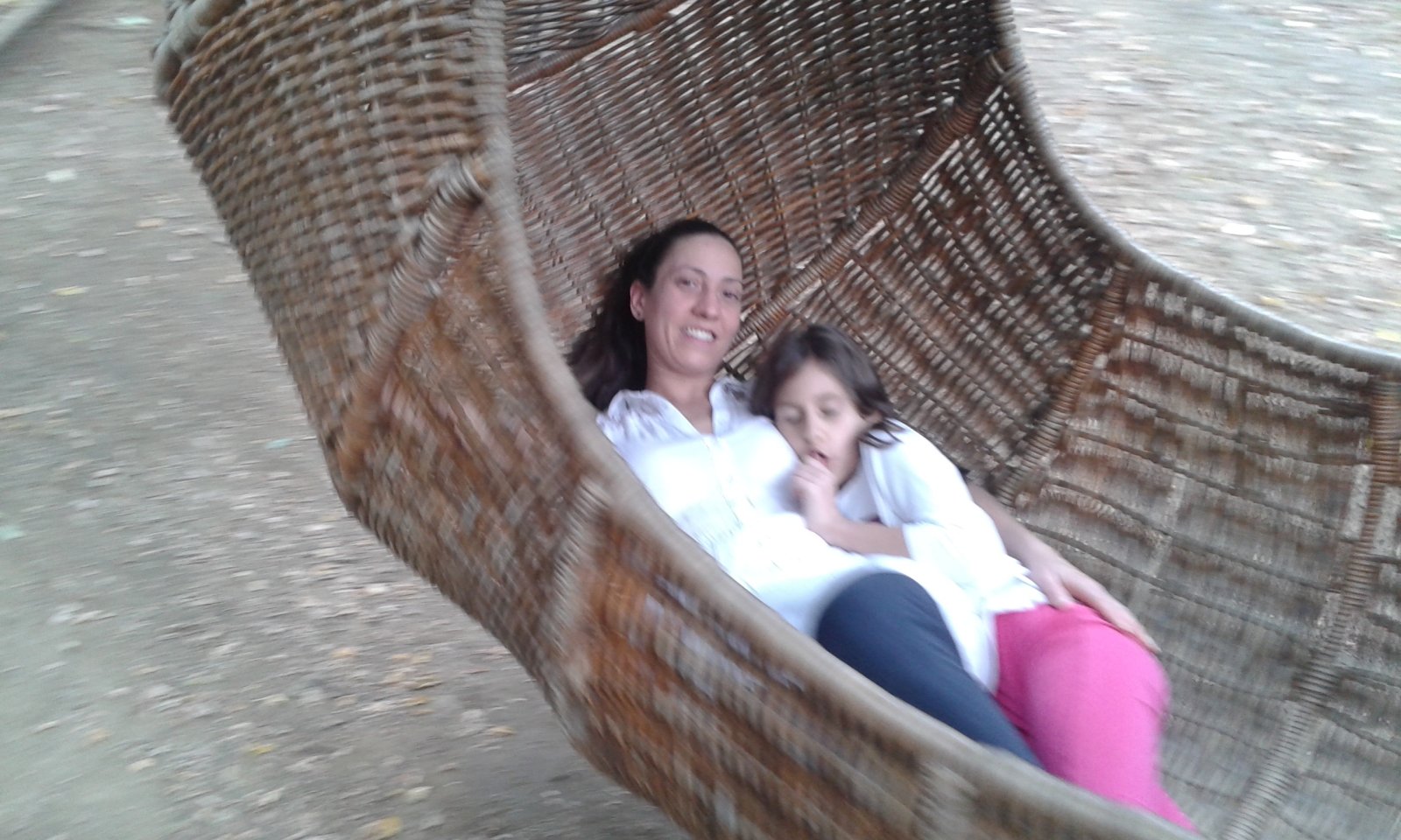 20170822-150845.jpg