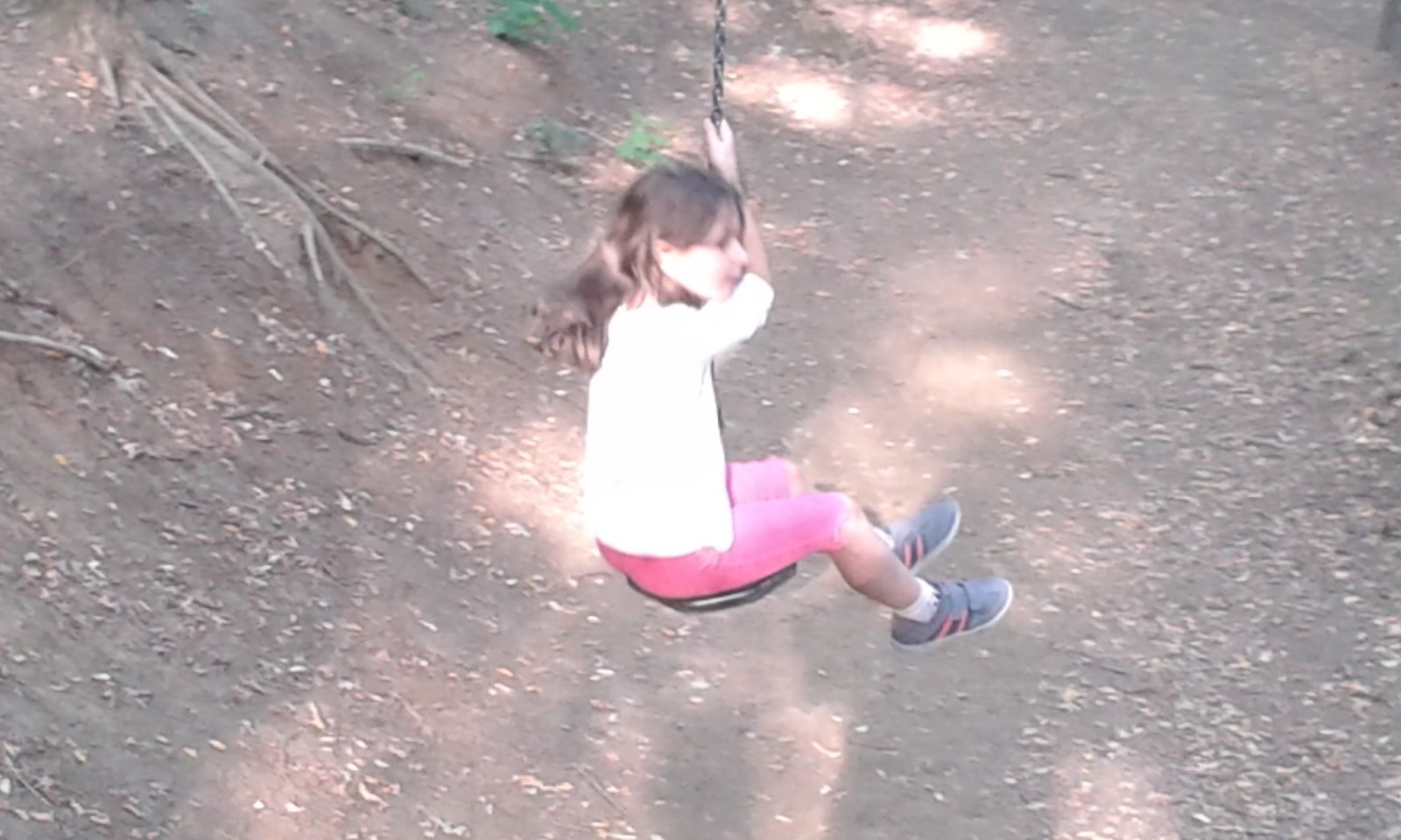 20170822-175919.jpg