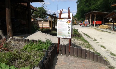 20170822-111412.jpg