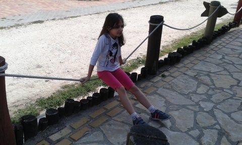 20170822-111432.jpg