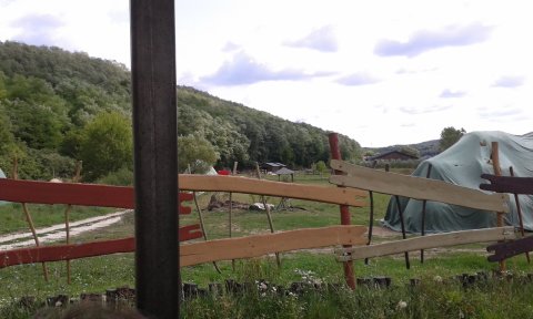 20170822-123715.jpg
