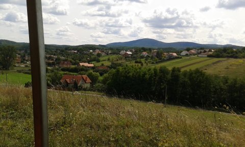 20170822-124019.jpg