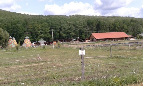 20170822-124328.jpg