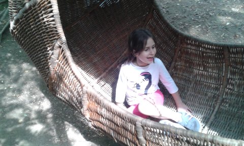 20170822-150126.jpg