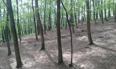 20170822-150143.jpg