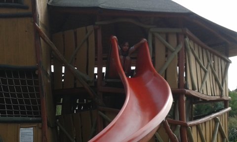 20170822-160148.jpg