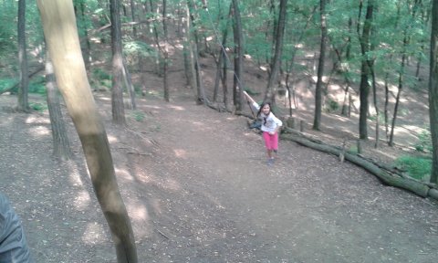 20170822-173535.jpg