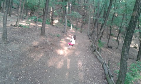 20170822-175911.jpg