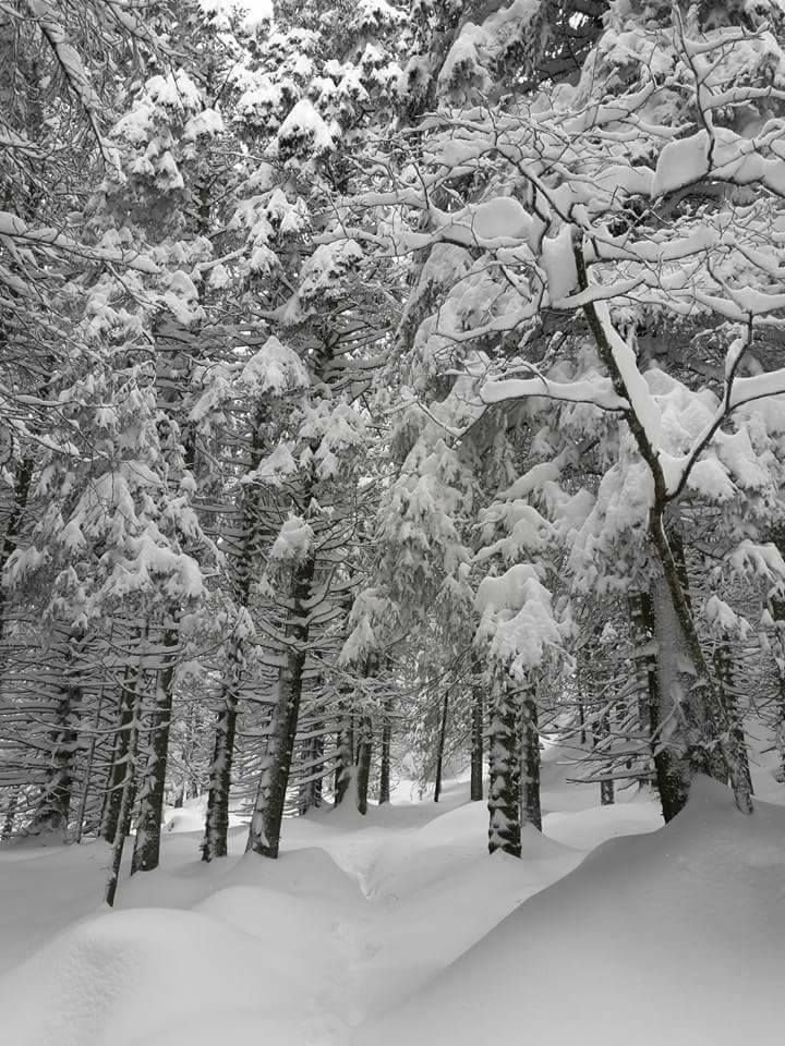 Hrebienok (Tarajka) környéke Kép: Peter Kubovič