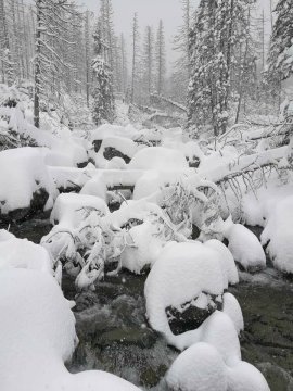 Hrebienok (Tarajka) környéke Kép: Peter Kubovič