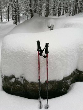Hrebienok (Tarajka) környéke Kép: Peter Kubovič