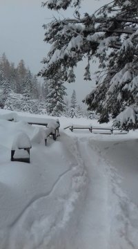 Rainer-kunyhó, 1301 m., Magas-Tátra Kép: Ľubka Horňáková/Facebook