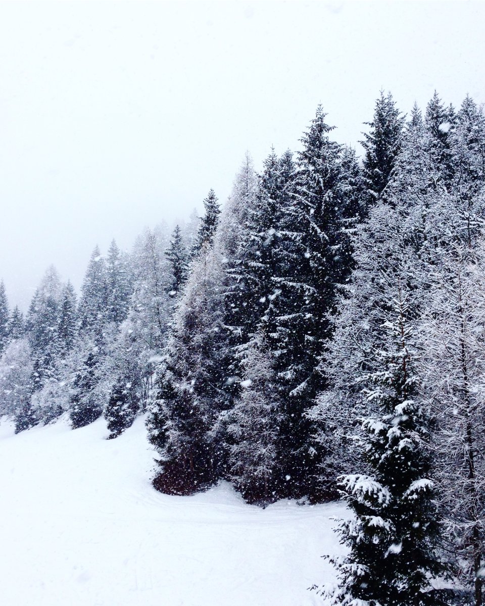 Mintha egy hógömben lennénk