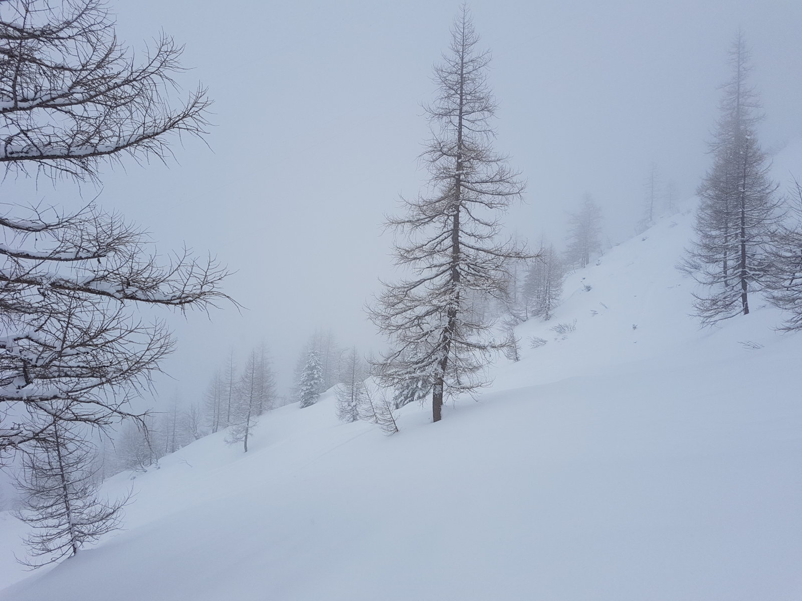 A pályáktól jobbra le az alagúthoz