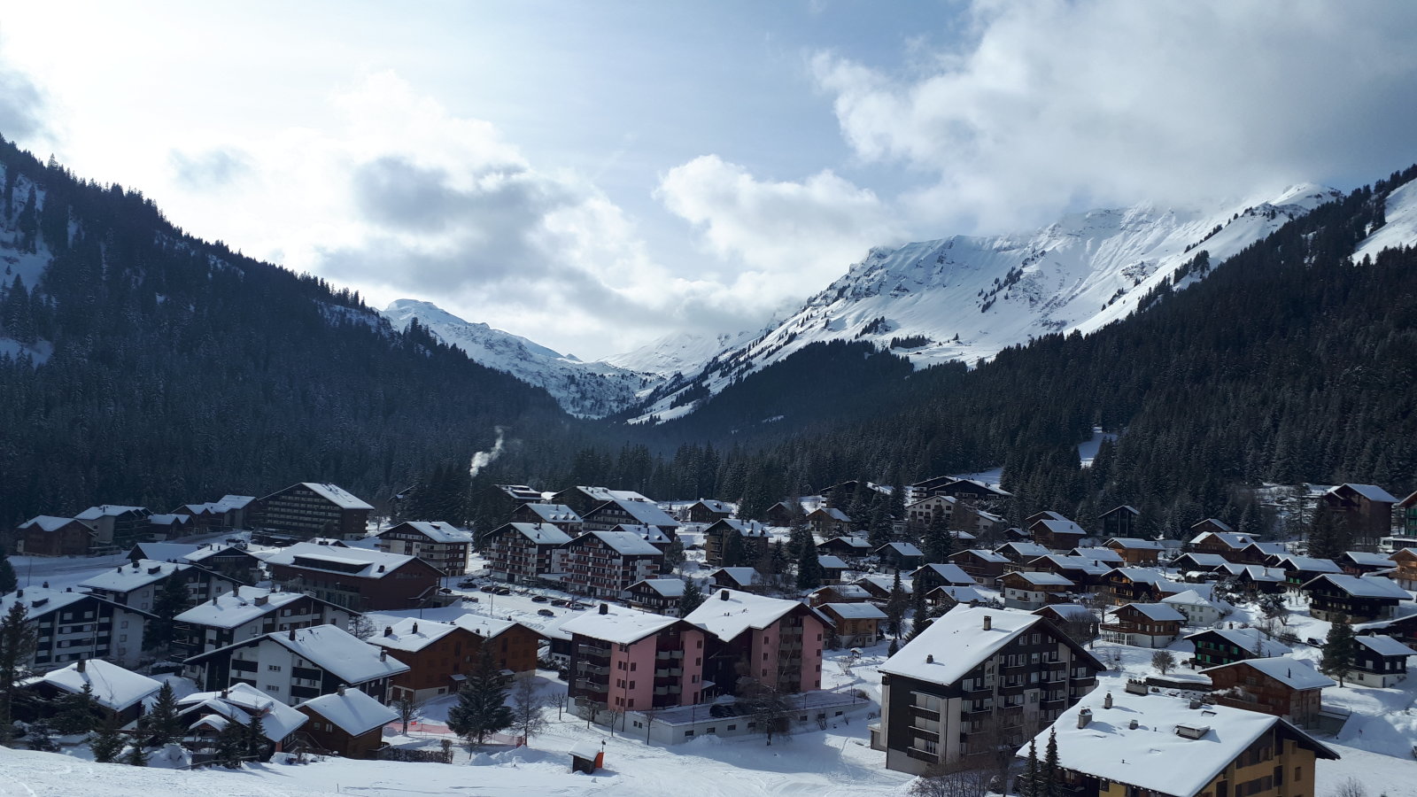 Morgins