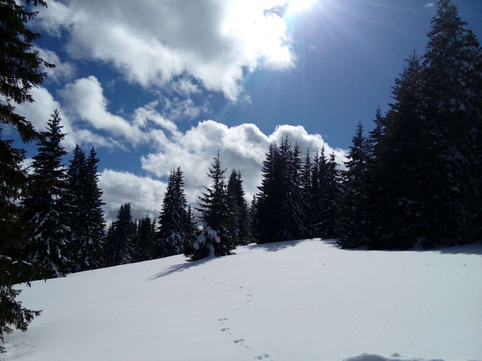 pamporovo-2018-17.jpg