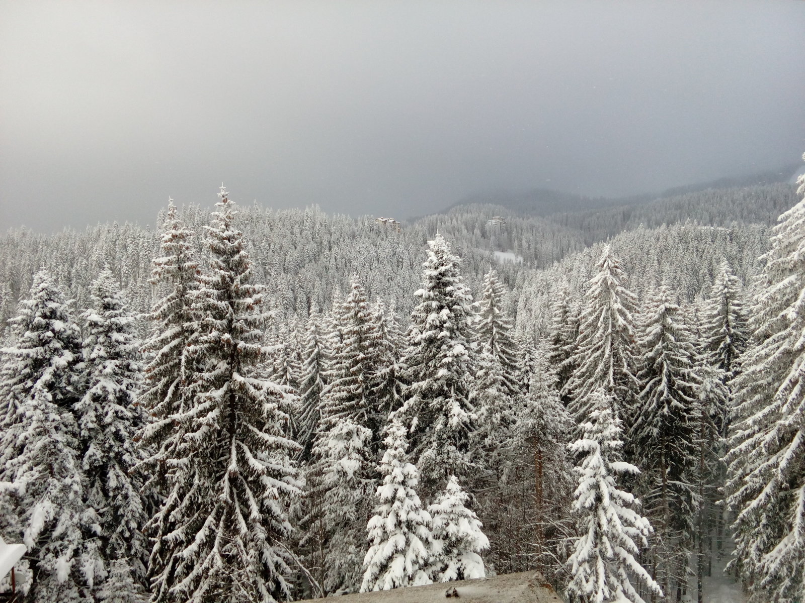pamporovo-2018-19.jpg