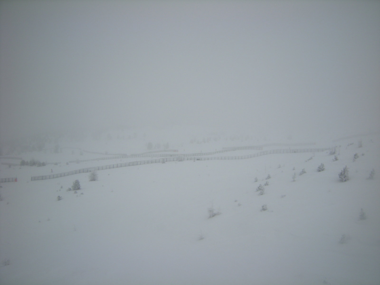 DSCN7957.JPG