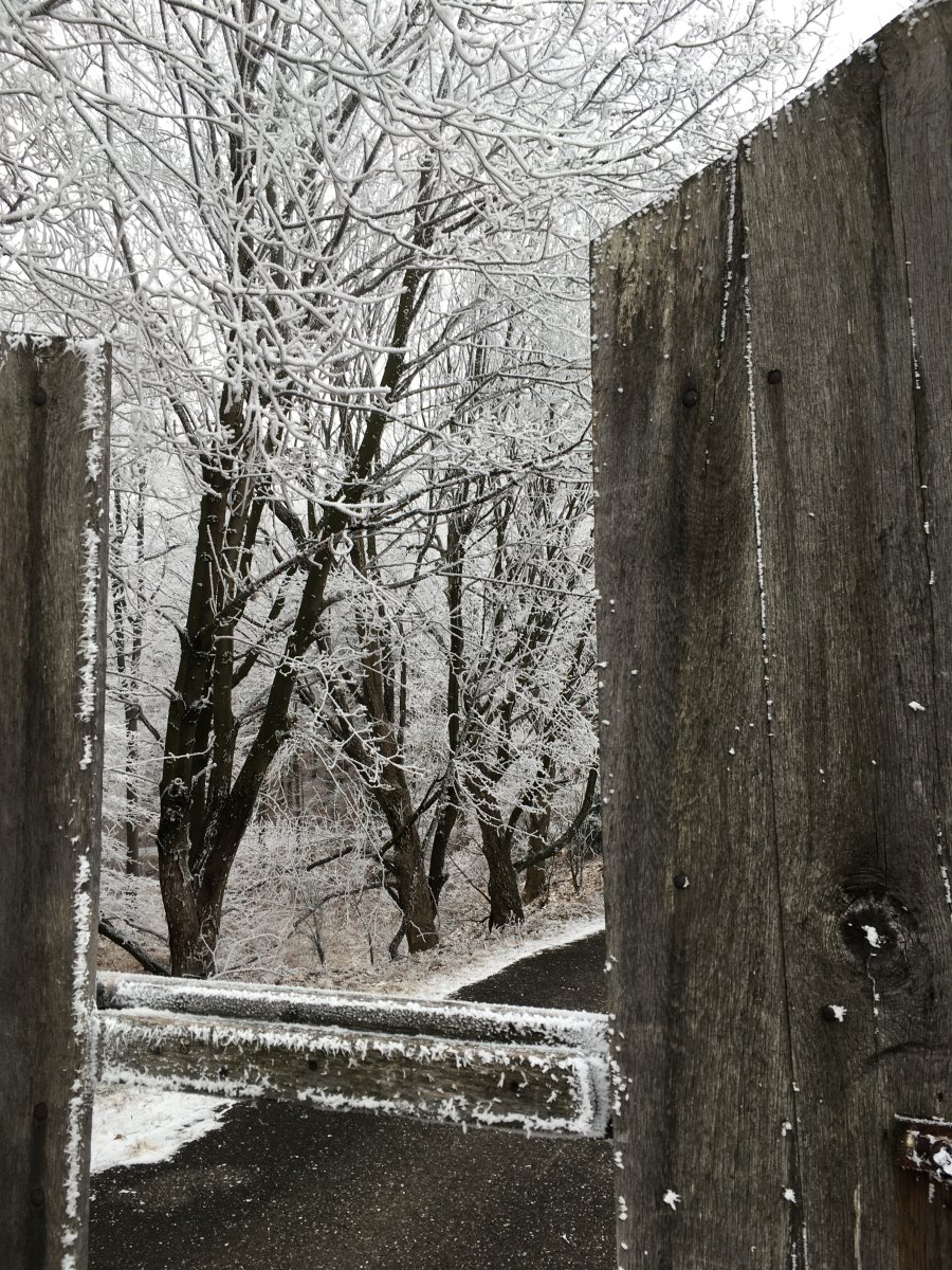 Magyar Sí Szövetség