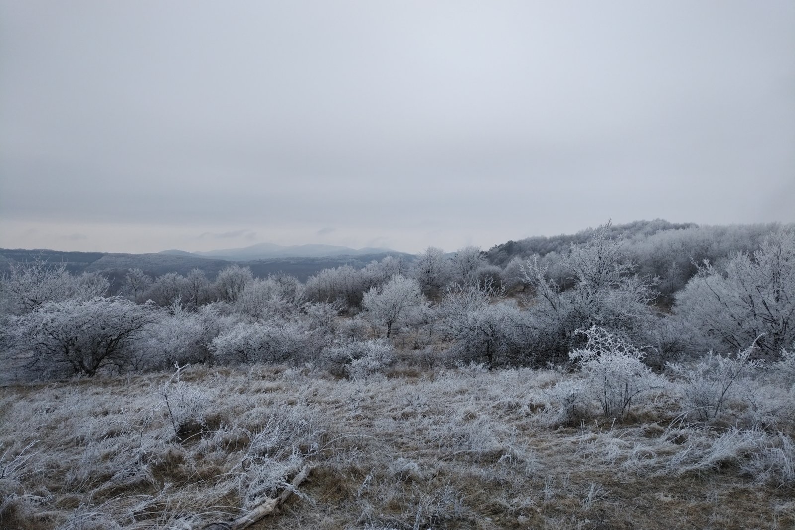 Úton Galyatetőre Mátraszentlászlóról