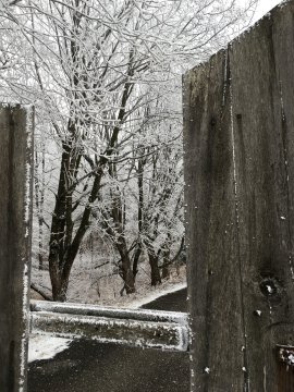 Magyar Sí Szövetség