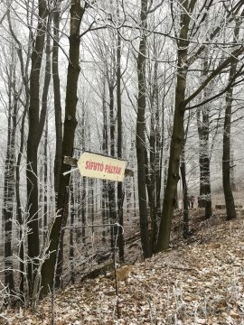 Galyatetői sífutó pályák