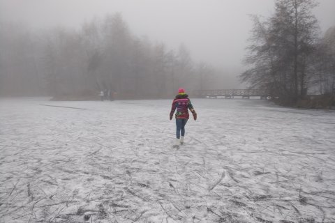 Lájtos korizás Sástón