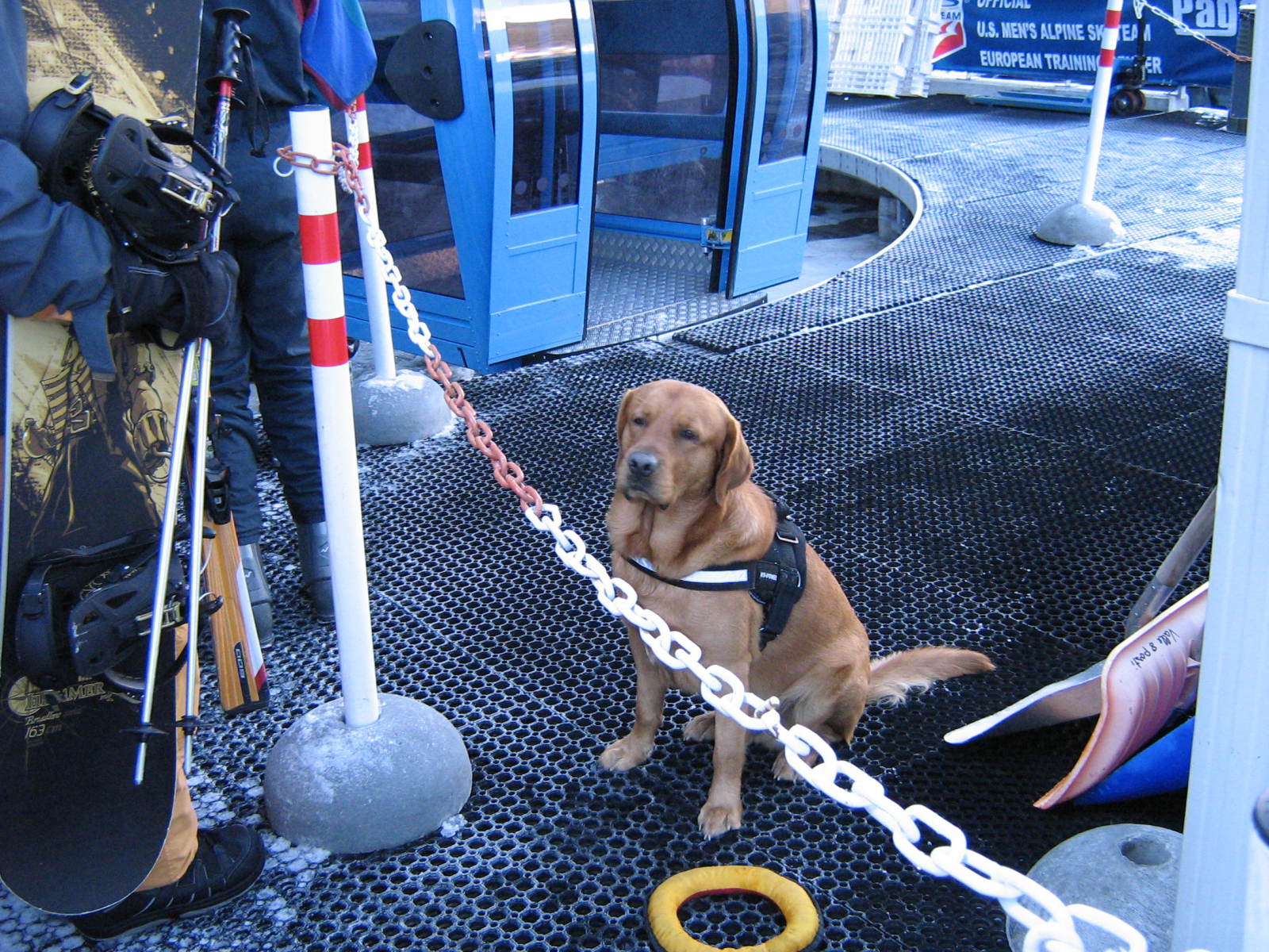 kivárjuk míg a papa sorra kerül