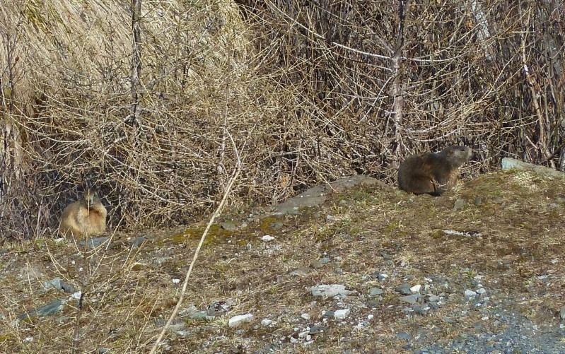  - Kattints a képre a nagyításhoz