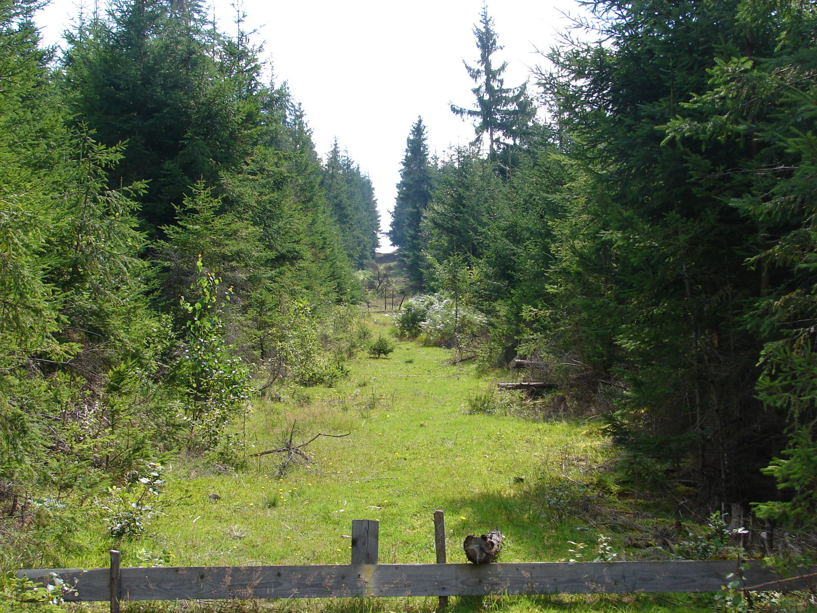 A felvonó nyomvonala a felső felén - még csak az oszlopok alapjai vannak meg