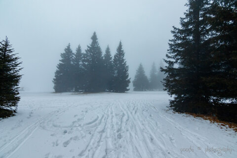 2024-0103-170545-R4K-WM.JPG