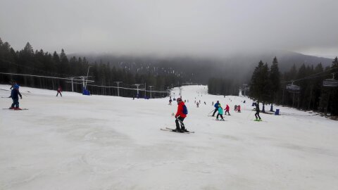IMG-20240105-150930.jpg