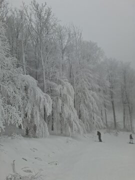 20260116-112809.jpg