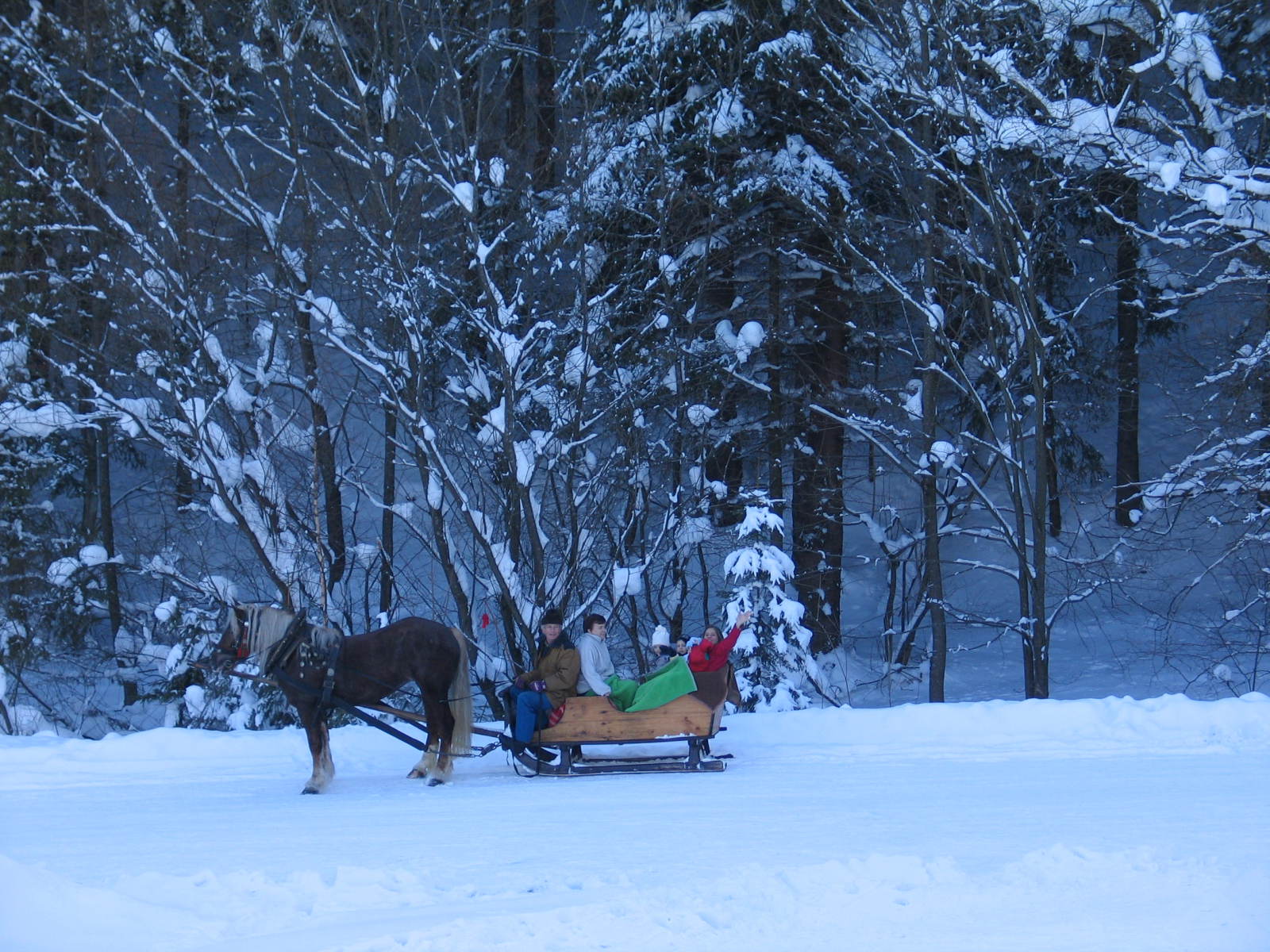 IMG-1149.JPG