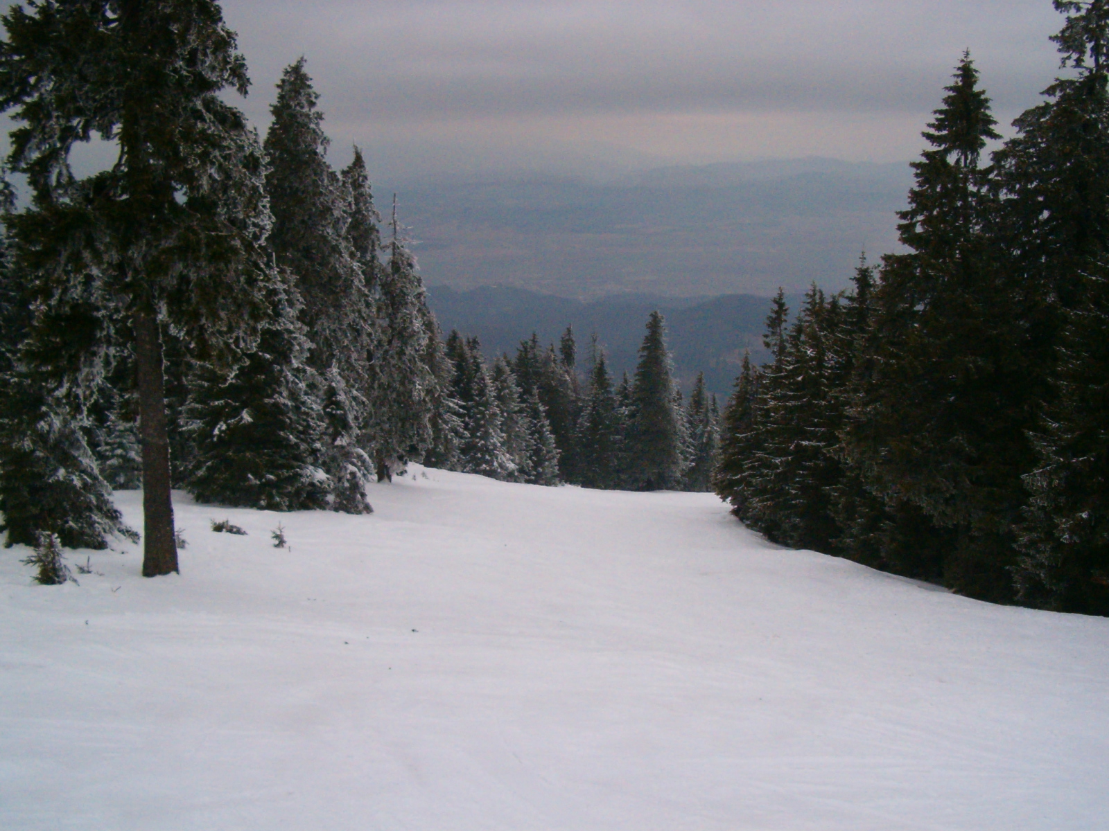 Poiana-lupului.JPG