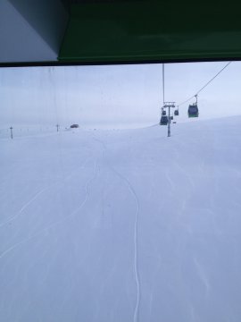 IMG-1415.jpg