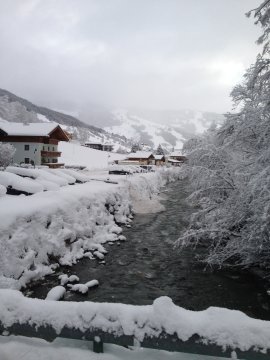IMG-0270.JPG