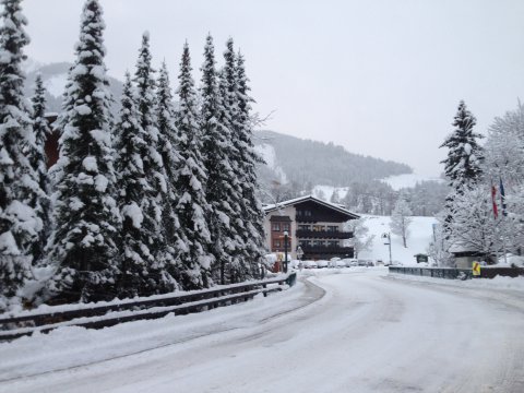IMG-0279.JPG